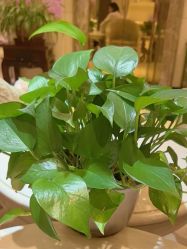 -北京俪婴妇产医院(朝阳大悦城店)