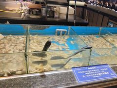 -钱小奴创意自助餐厅·原切谷饲安格斯畅吃(宁波奉化银泰店)