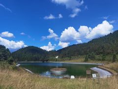 -武陵山森林公园