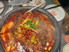 -探鱼·鲜青椒爽麻烤鱼(苏宁广场店)