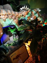 -恐龙探索乐园(磁器口店)