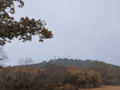 -东湖磨山景区