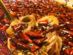 沸腾鱼-青城甲(青城山店)