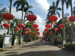 -万绿园