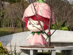 -顾村公园