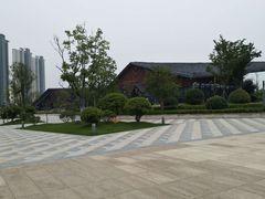 -九里湖国家湿地公园