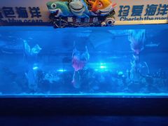 -成都浩海立方海洋公园