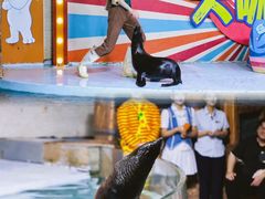 -南昌海洋公园