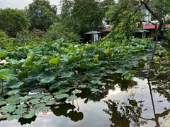 -洪湖家庭农场·团建·露营·会议