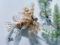 -上海科技馆-探索之光