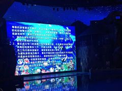 -芜湖新华联大白鲸海洋公园