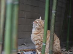 -莆田餐厅PUTIEN(西安万象天地店)