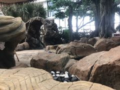 -悦隆庄温泉度假酒店