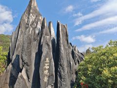 -玉石林风景区