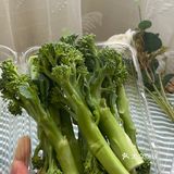 蒜蓉高原西兰苔，清清爽爽的开胃健康菜！