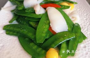Green Squid Slices