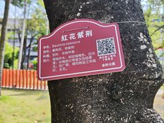 -金砂公园