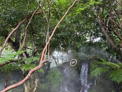 -Chom Cafe and Restaurant