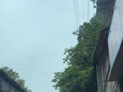 -清泉馆(望江路店)