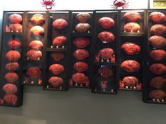 -龙海鲜螃蟹王(宏茂桥店)