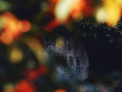 -杭州少年儿童公园