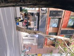 -常识咖啡common sense(春熙路店)