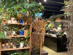 -自由生长植物工作室(深港花卉中心店)