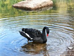 -宝岩生态观光园