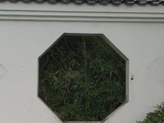 -海珠湖公园