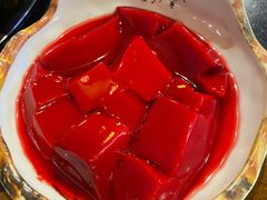 鲜鸭血-较场口火锅(九街店)