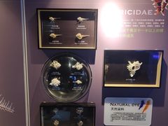 -洛阳龙门海洋馆