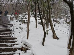 -紫金山山顶公园