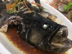 -范饭椰林川湘味海鲜·椰子鸡(三亚湾椰梦长廊店)