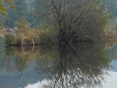 -南京市无想山景区