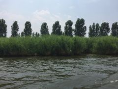 -白洋淀景区