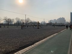 -西安赛瑞喜来登大酒店