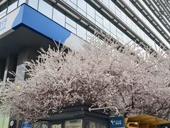 -麦当劳(安定门外大街店)