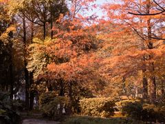 -深圳国际园林花卉博览园