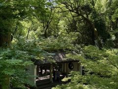 -湖畔居茶楼(湖滨店)