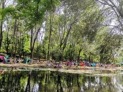 -长白岛森林公园