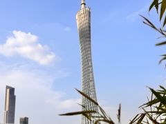 -小茶闲舍·观景商务茶馆(广州塔店)