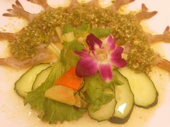 生虾刺身-阿诺泰·泰国餐厅(紫荆店)