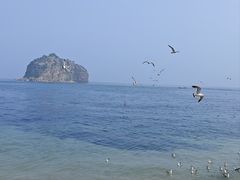 -棒棰岛宾馆景区