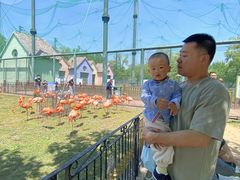 -秦皇岛野生动物园