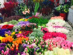 -双季花艺园艺市场(浦东店)