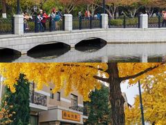 -大连人民广场