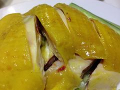 -百福麵家(新馬路店)
