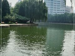 -团结湖公园