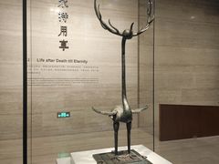 -汪记鲜鱼糊汤粉(沈阳路总店)
