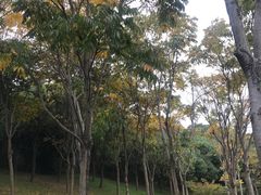 -牛岗山公园